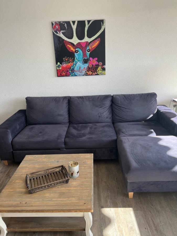 Apartment Annis Panoramablick Pool Sauna Tennis ショナッハ エクステリア 写真