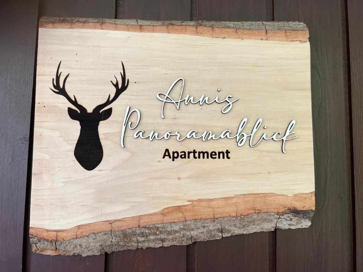 Apartment Annis Panoramablick Pool Sauna Tennis ショナッハ エクステリア 写真